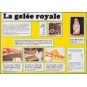 POSTER - PLANCHE D'INFORMATION COULEUR - GELEE ROYALE