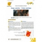 LIVRET - FRELON ASIATIQUE BIOLOGIE (O.P.I.D.A.)
