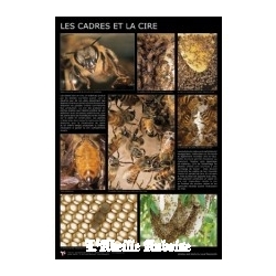 AFFICHE - CADRES ET CIRE