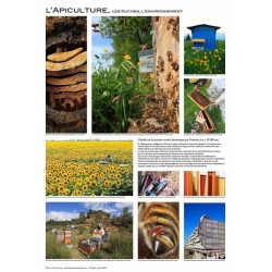 AFFICHE - L'APICULTURE