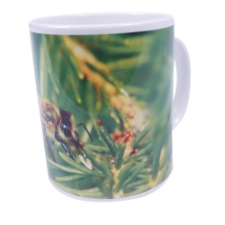 TASSE "ABEILLE SAPIN"