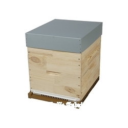 RUCHE DADANT 10 CADRES TOIT GALVA