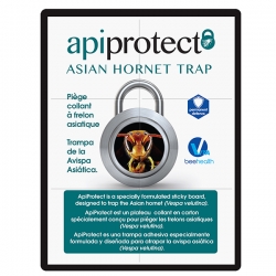 PIEGE A FRELONS APIPROTECT (pack de 2)