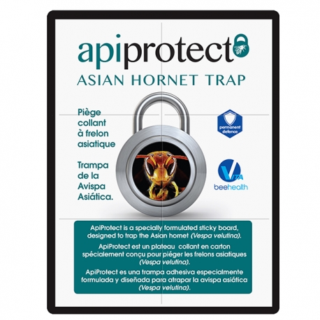 PIEGE A FRELONS APIPROTECT (pack de 2)