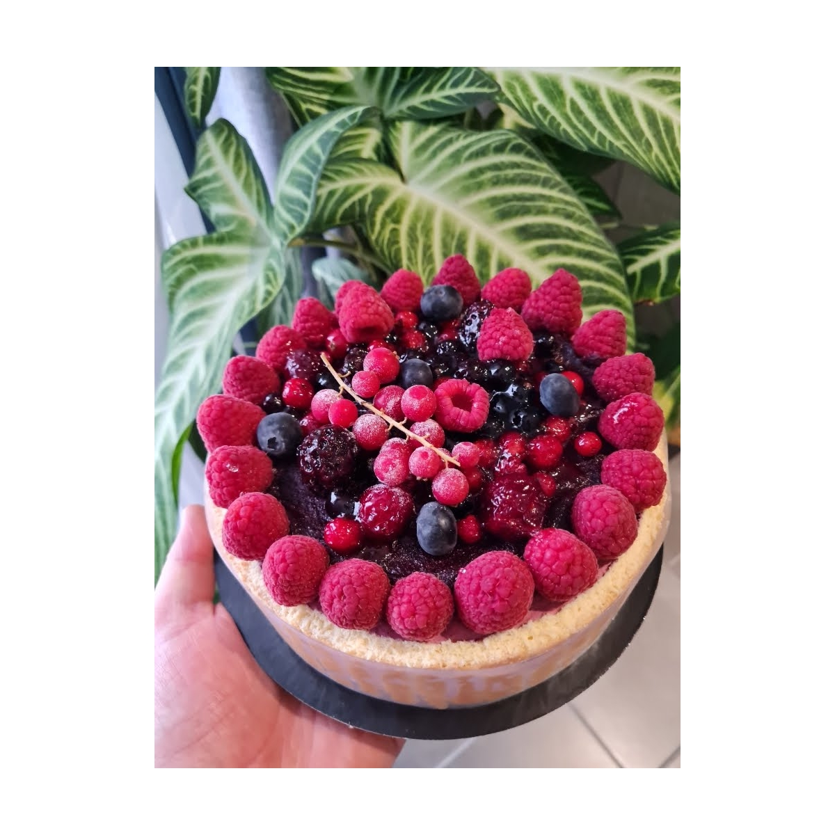 GATEAU "CHARLOTTE FRUITS ROUGE" (6/8 pers)