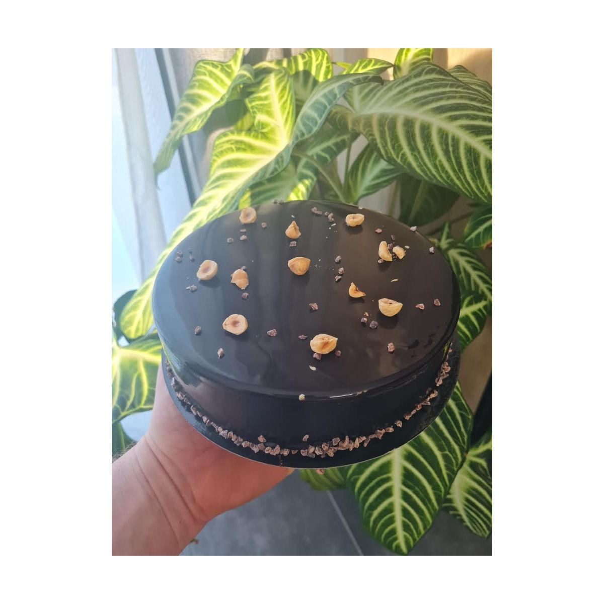 GATEAU "ECUREUIL" (6/8 pers)