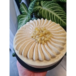 GATEAU "EXOTIQUE" (6/8 pers)