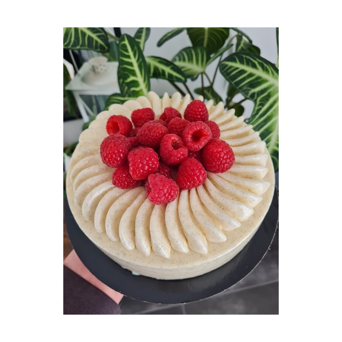 GATEAU "FRAMBOISIER" (6/8 pers)