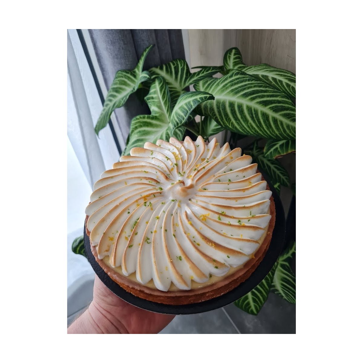 TARTE CITRON (6/8 pers)