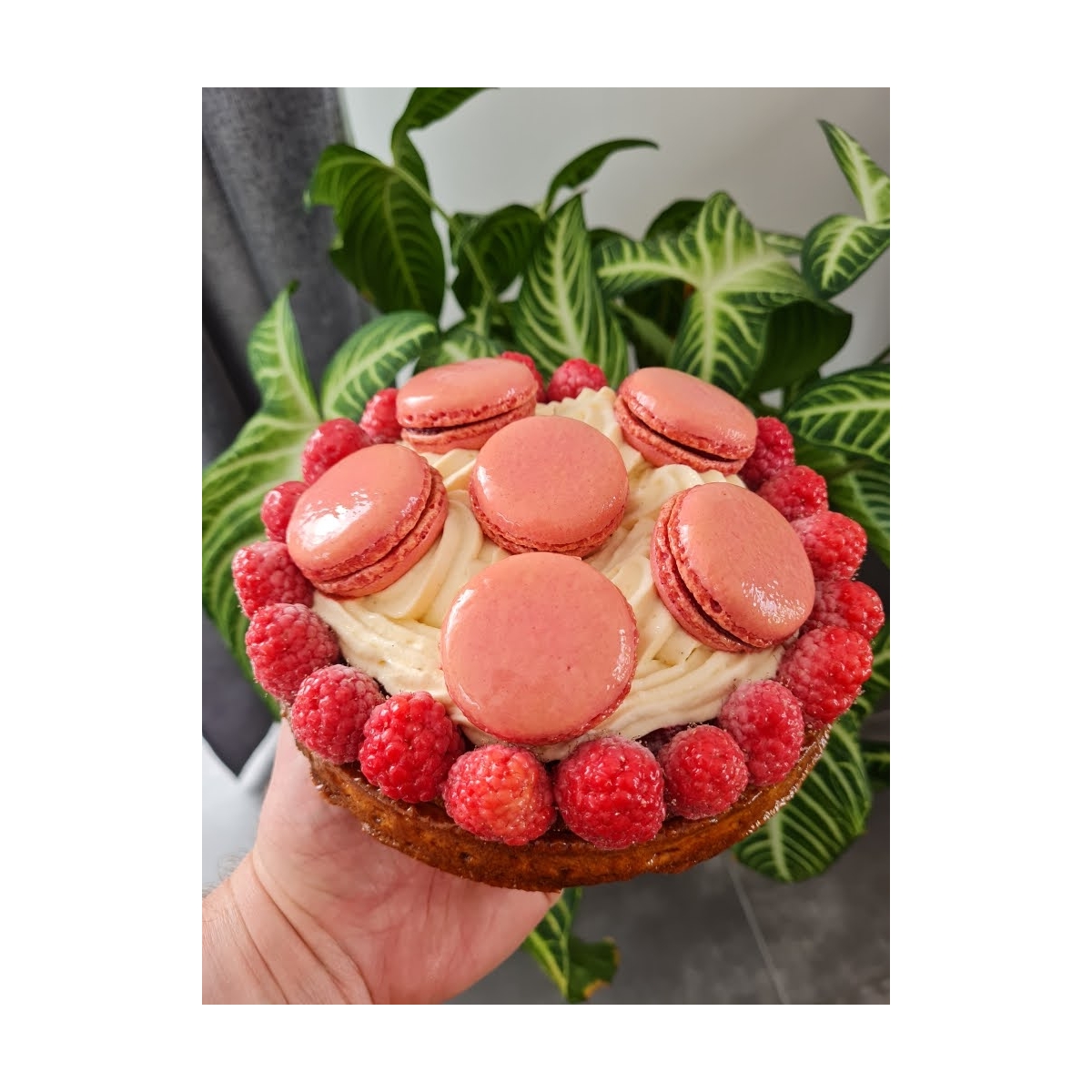 TARTE FRAMBOISE (6/8 pers)