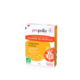 GOMME PROPOLIS MIEL GINGEMBRE BIO (sachet 45 g)