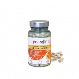GELULES CONFORT DIGESTIF (pot 120 gélules)