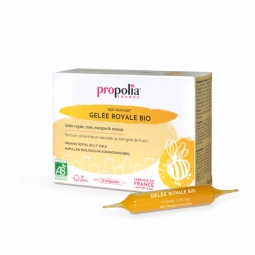 AMPOULES GELEE ROYALE BIO (10 ampoules)