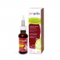 SOLUTION HUILEUSE DE PROPOLIS (flacon 30 ml)