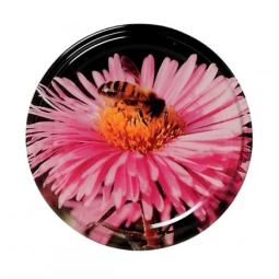 CAPSULE TO 82 FLEUR NOIRE