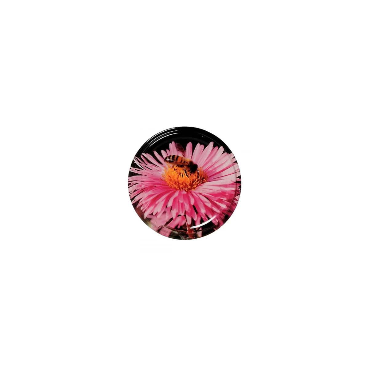 CAPSULE TO 82 FLEUR NOIRE