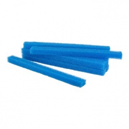 SPECIAL TRANSHUMANCE