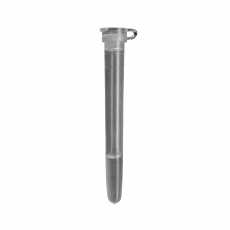 SWARM CATCH (sachet de 5)