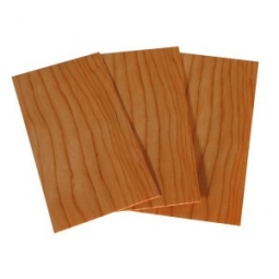 PLAQUETTE DE CEDRE ANTI TEIGNES ECOLOMITE (sachet de 10)