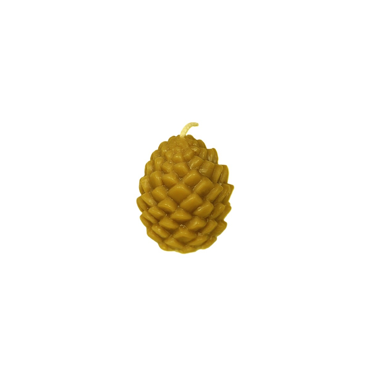 BOUGIE: POMME DE PIN