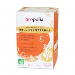 INFUSION APRES REPAS BIO AU FENOUIL (boite de 20 sachets)