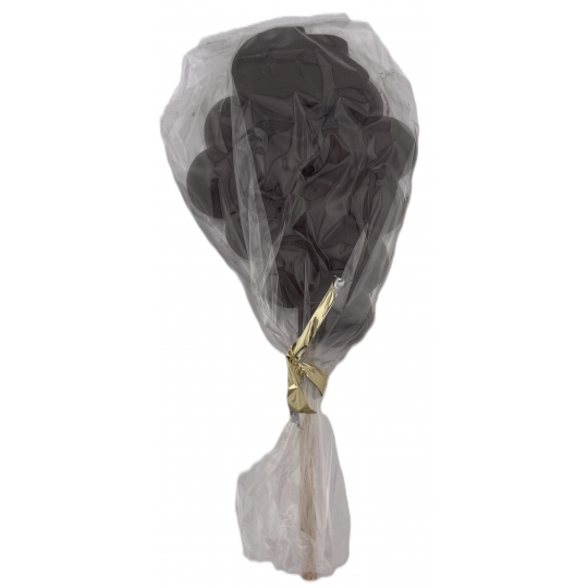 SUCETTE GRAPPE DE RAISIN CHOCOLAT NOIR