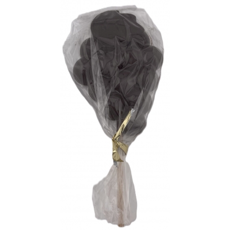 SUCETTE GRAPPE DE RAISIN CHOCOLAT NOIR