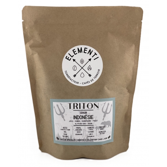 CAFE GRAINS TRITON (250 g)