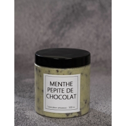 GLACE MENTHE PEPITE DE CHOCOLAT (500 ml)