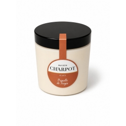 GLACE PRUNELLE DE TROYES (500 ml)