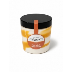 SORBET PINA COLADA (RHUM) COULIS MANGUE (500 ml)