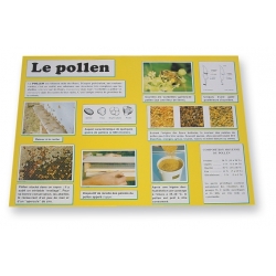 POSTER - PLANCHE D'INFORMATION COULEUR - POLLEN