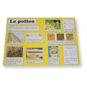 POSTER - PLANCHE D'INFORMATION COULEUR - POLLEN